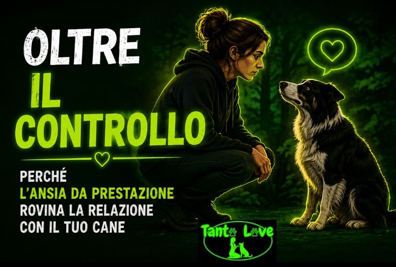 Oltre il controllo